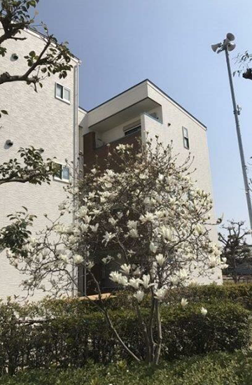 Building exterior 1